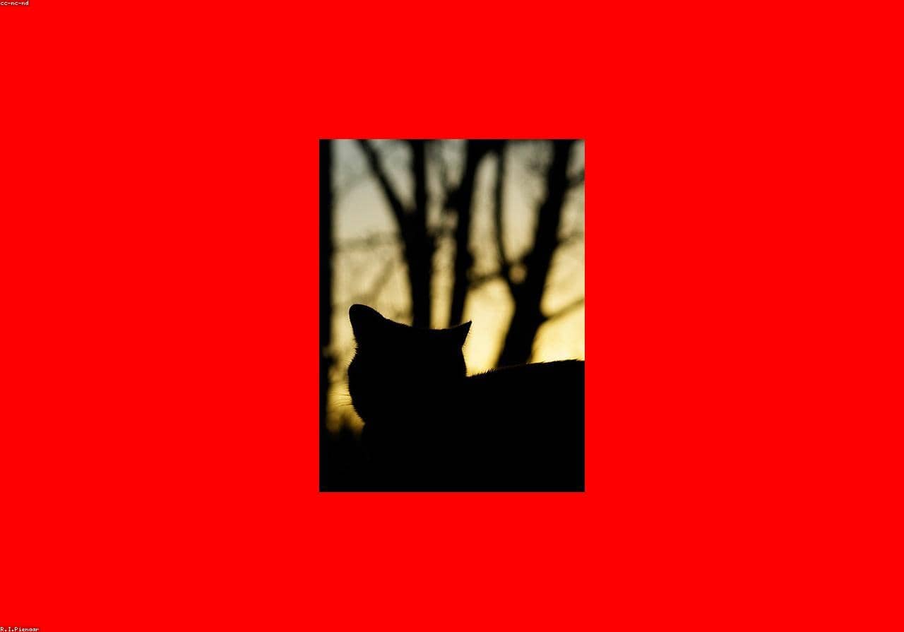 Test Random for CI